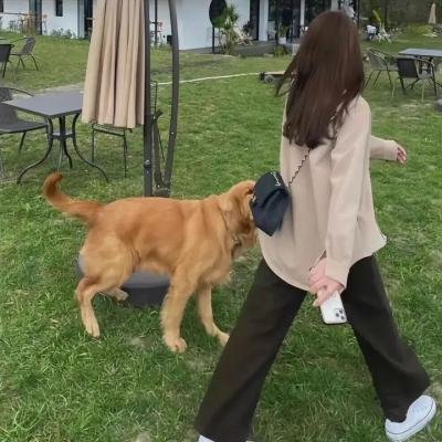 爱我还是爱他